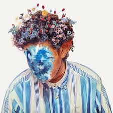 Image result for hobo johnson the fall of hobo johnson