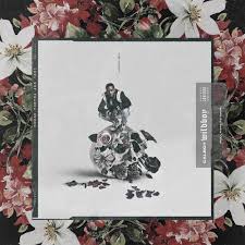 Image result for calboy wildboy