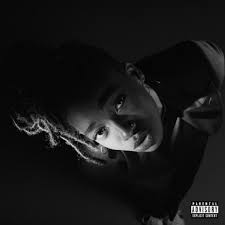 Image result for little simz grey area