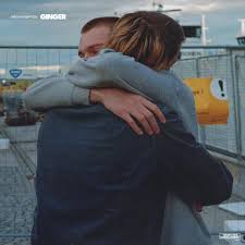 Image result for brockhampton ginger